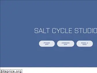 saltcyclestudios.com