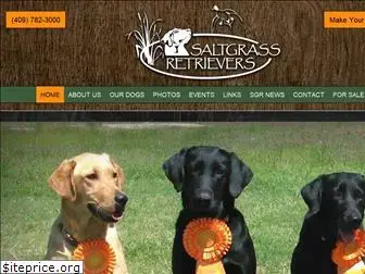 saltgrassretrievers.com