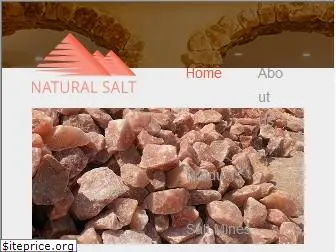 saltnatural.com