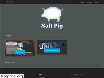 saltpigmedia.com