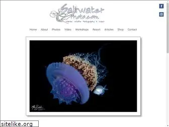 saltwaterphoto.com