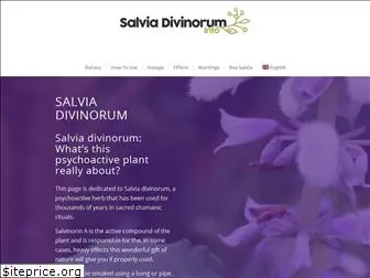 salvia-divinorum-info.com