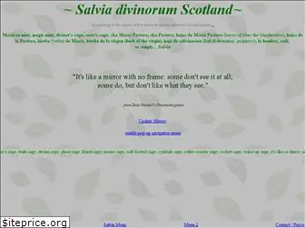 salvia-divinorum-scotland.co.uk