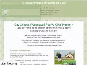 sam-wytresuj-psa.pl