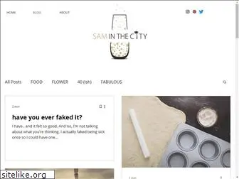 saminthecity.com