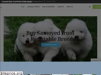 samoyed-puppies.company.com