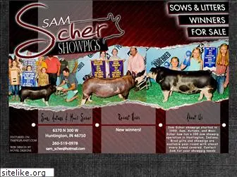 samschershowpigs.com