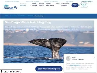 sandiegowhalewatching.com