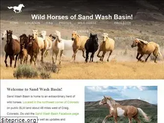sandwashbasin.com