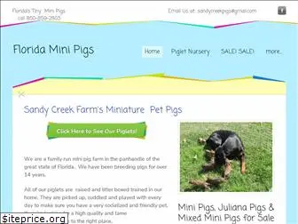 sandycreekminipigs.com