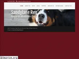 sandylanebernese.com