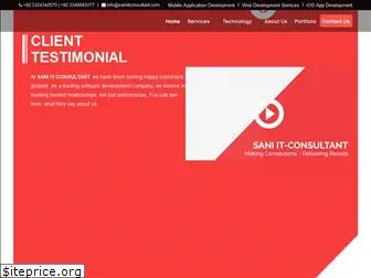 saniitconsultant.com