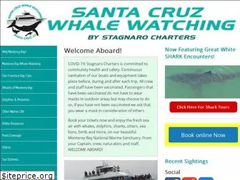 santacruzwhalewatching.com