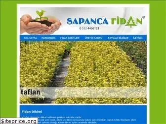 sapancafidan.com