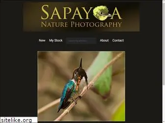 sapayoa.com