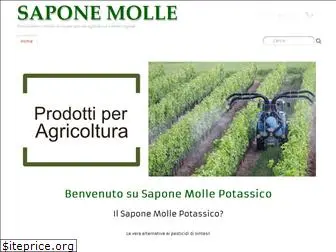 saponemolle.it