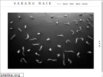 sarangnaikphoto.com