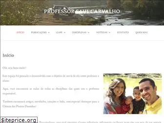 saulcarvalho.com.br