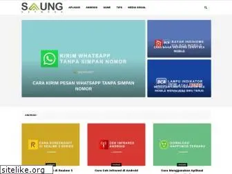 saung.net