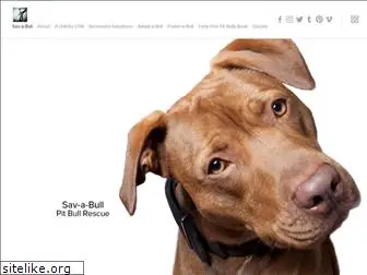 sav-a-bull-ny.org