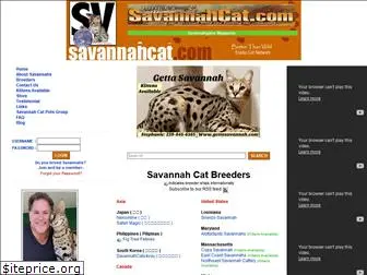 www.savannahcat.com