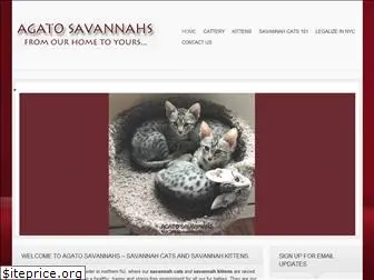 savannahcatsandkittens.com