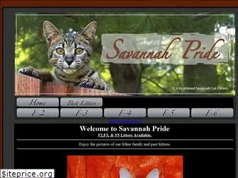 savannahpride.net