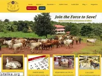 saveindiancows.org