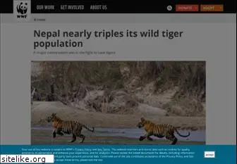 savetigersnow.org