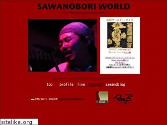 sawanobori.com