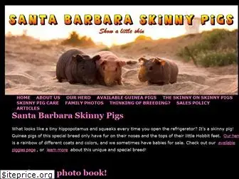 sbskinnypigs.com