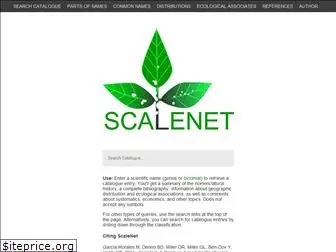 scalenet.info