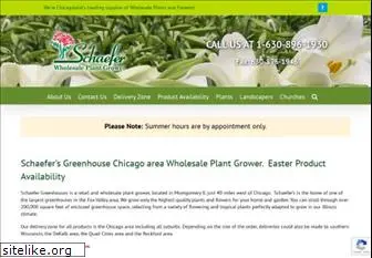 schaeferwholesaleplantgrower.com