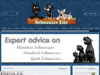 schnauzerlife.com