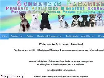 schnauzerparadise.com