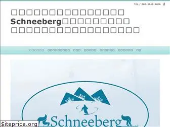 schneeberg-ss.com