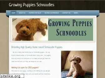 schnoodlepuppy.weebly.com