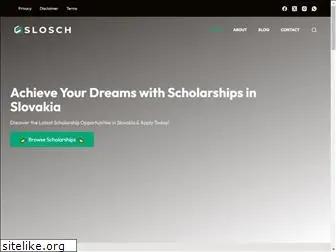 scholarshipinslovakia.com