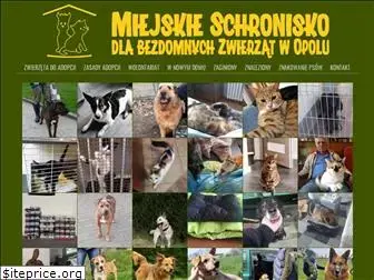 schroniskowopolu.pl