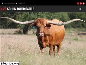 schumachercattle.com