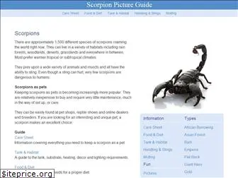 scorpionpictureguide.com