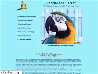 scottietheparrot.com