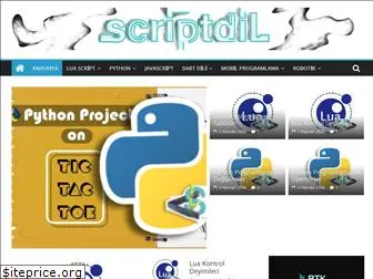 scriptdil.com