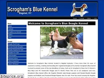 scroghamsbluekennel.com