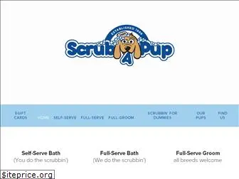 scrubapupdogwash.com