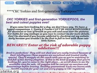 scyorkiepoos.com