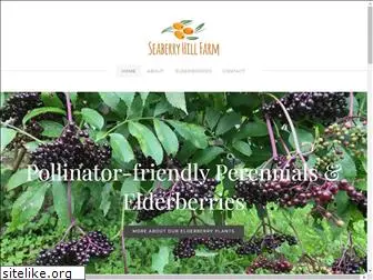 seaberryhillfarm.com