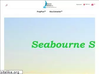 seabournesolutions.com