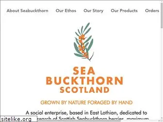 seabuckthornscotland.com