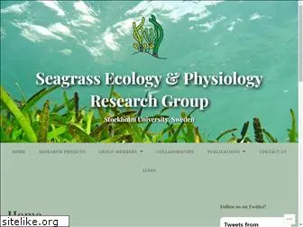 seagrassresearch.org